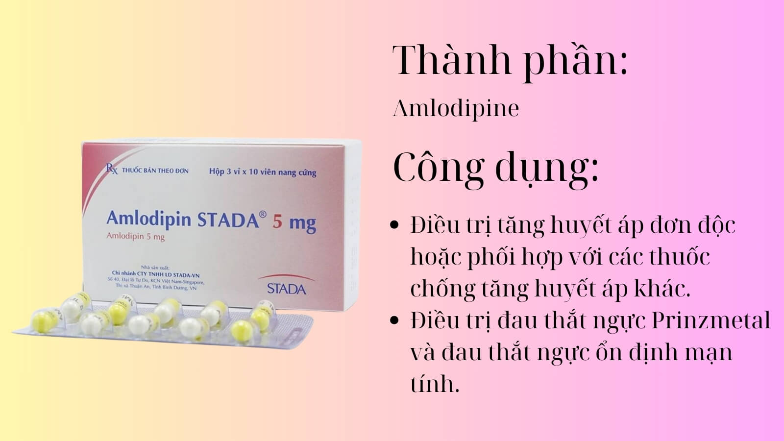 Thành phần và công dụng của thuốc Amlodipine Stada 5mg