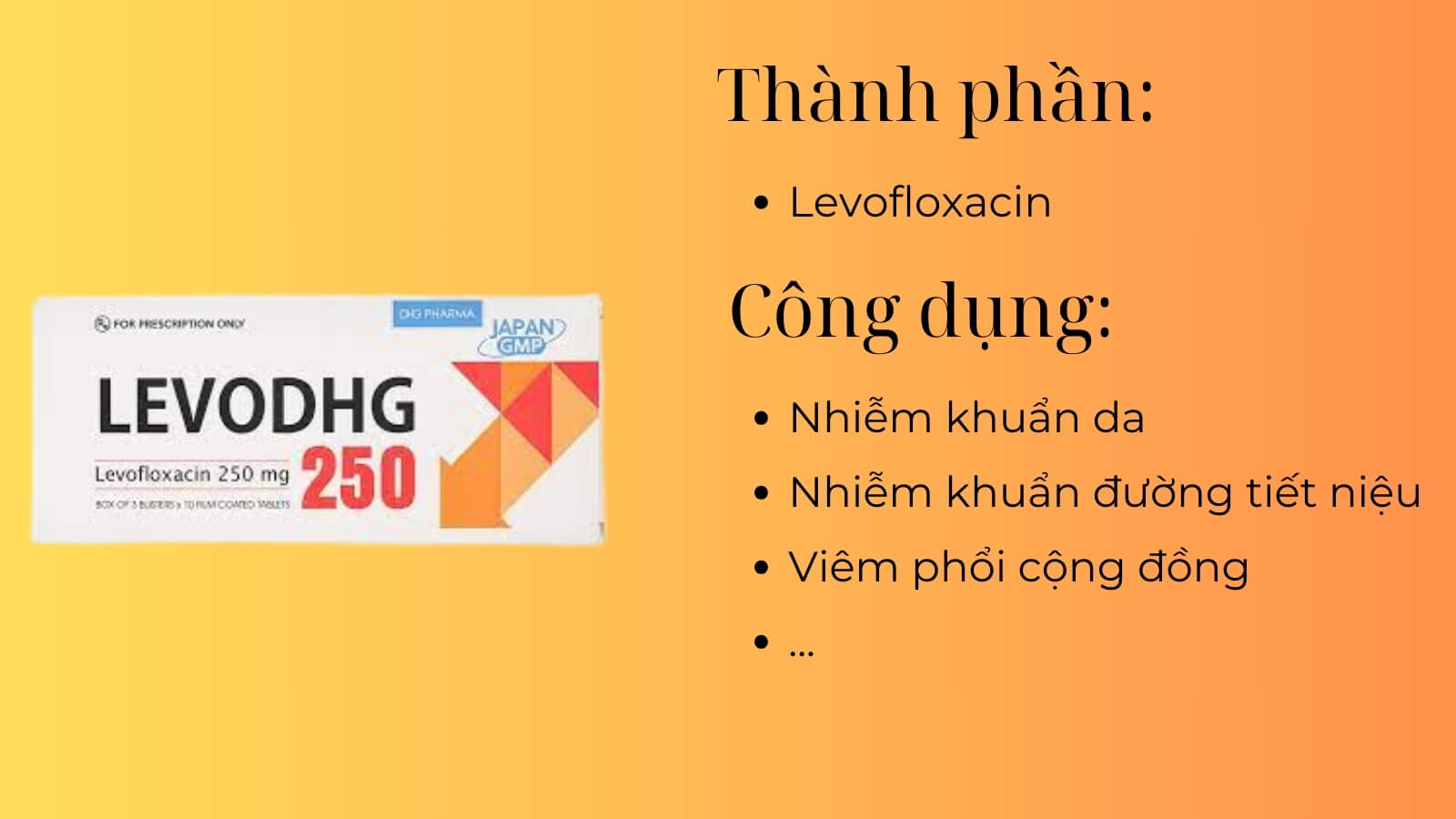 Thành phần và công dụng của thuốc Levodhg 250