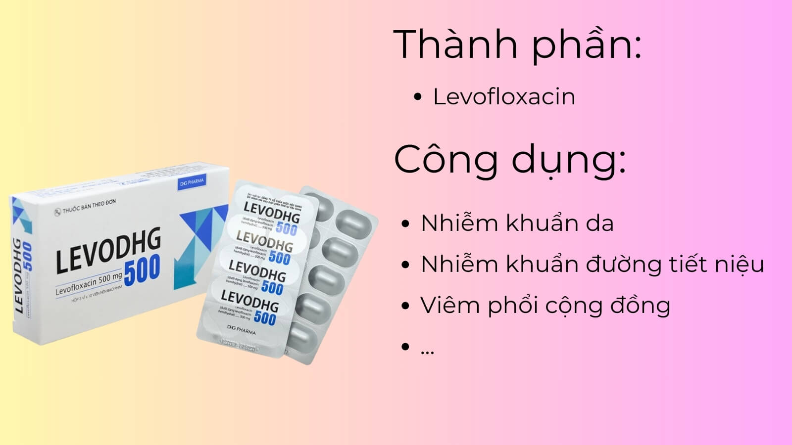 Thành phần và công dụng của thuốc Levodhg 500