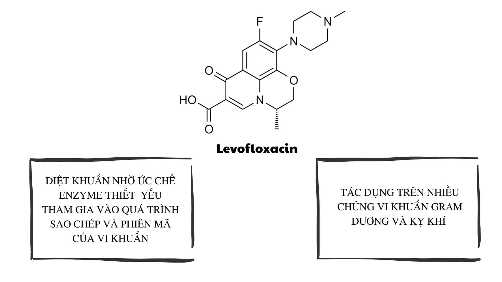 https://www.pharmart.vn/images/product/origin/thuoc-khang-sinh-levodhg-750mg-663ce2b4c5ffa.jpg