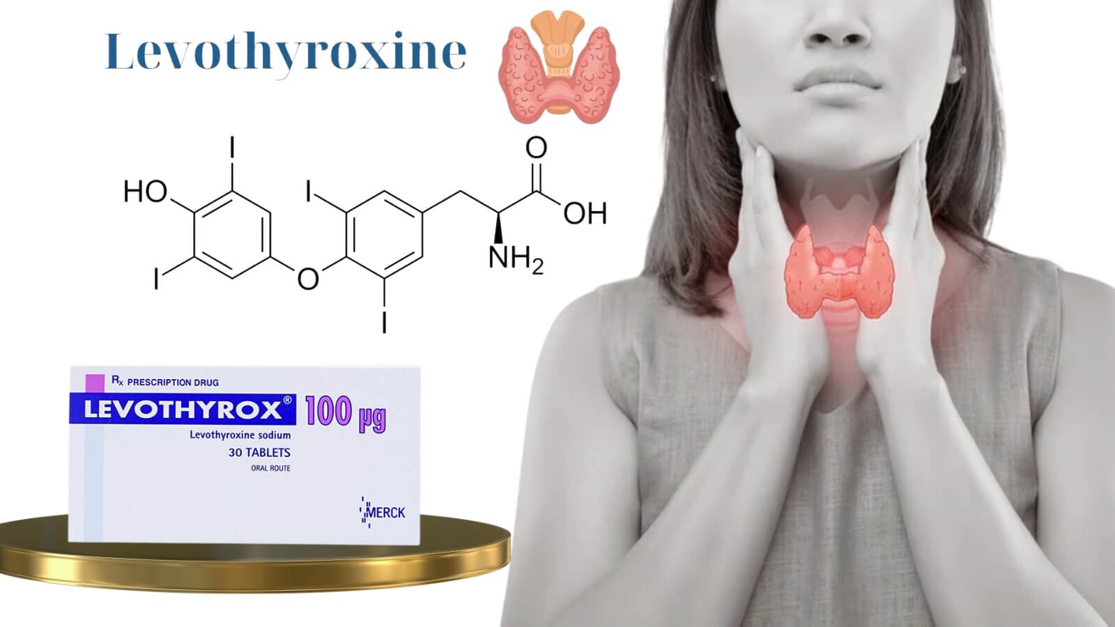 Levothyroxin - Dược chất chính của Levothyrox 100