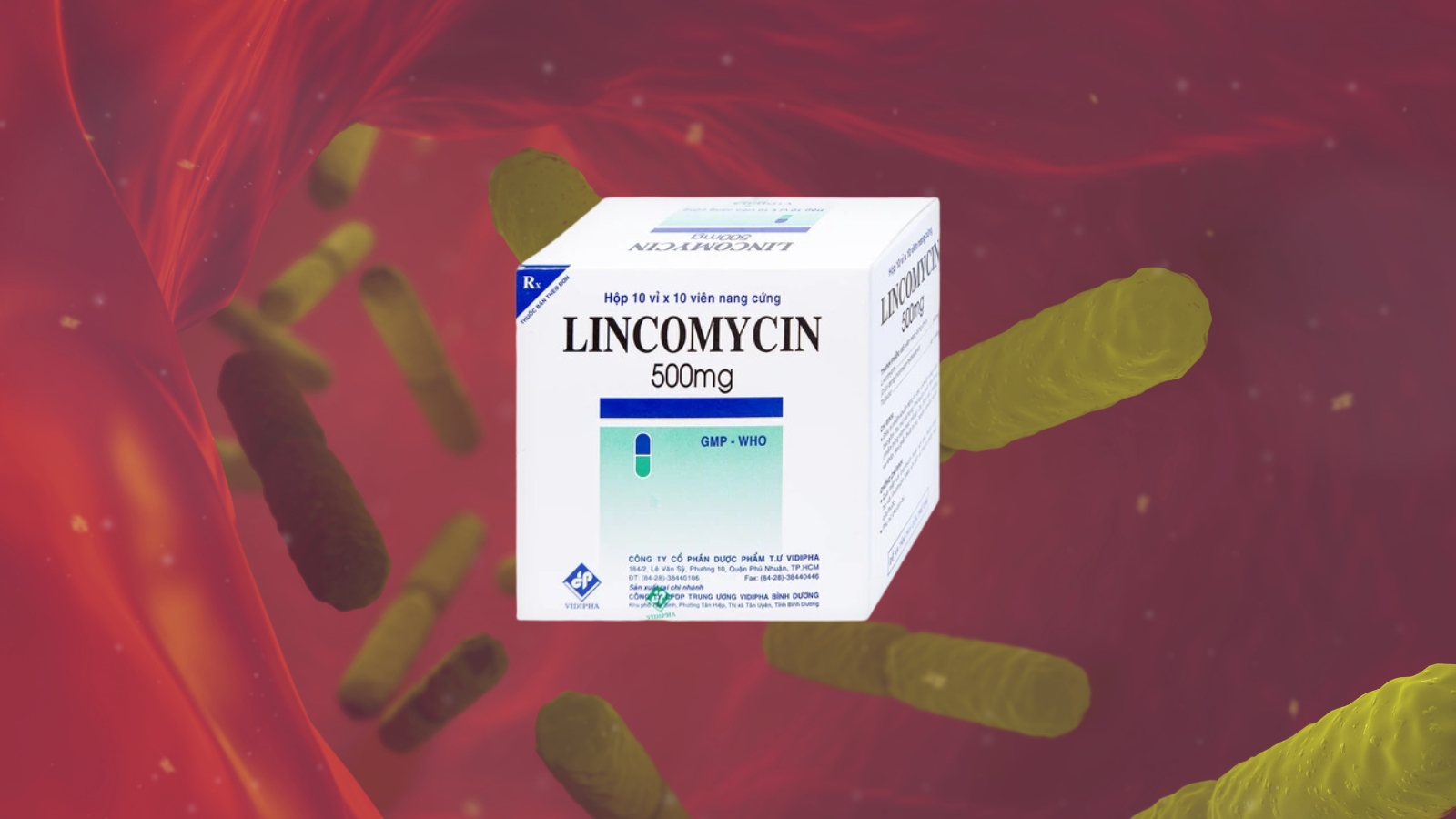 Lincomycin có thể điều trị được các nhiễm khuẩn nặng, bao gồm cả nhiễm khiaanr huyết