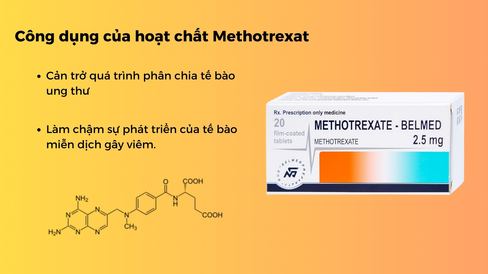 Thuốc Methotrexate Belmed 2.5 mg điều trị viêm khớp vảy nến, viêm đa khớp dạng thấp