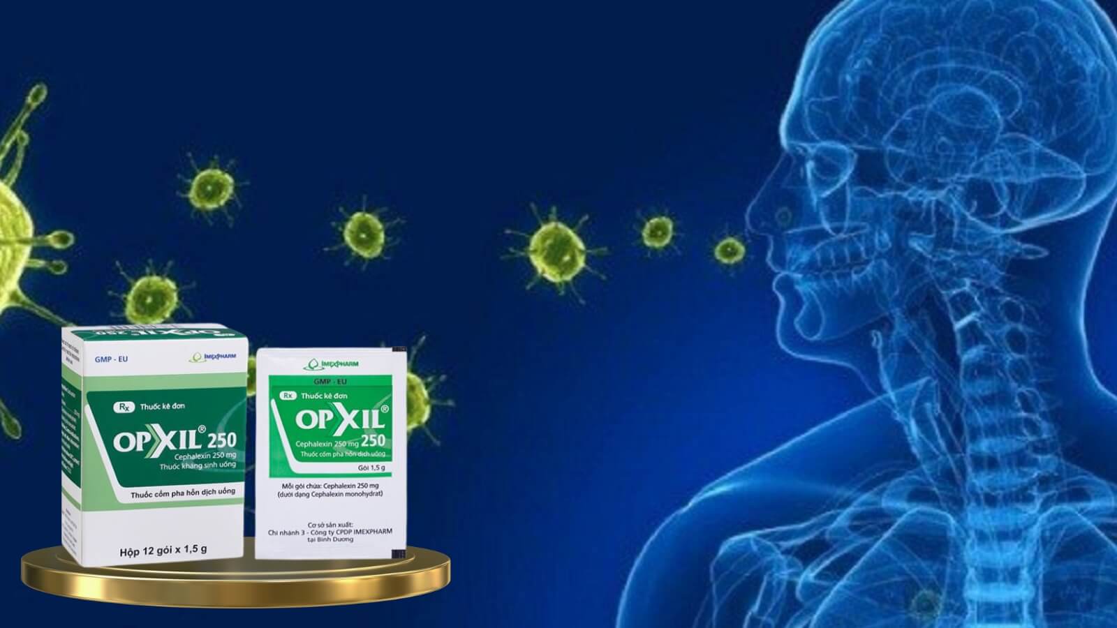 Opxil 250 - Điều trị nhiễm khuẩn