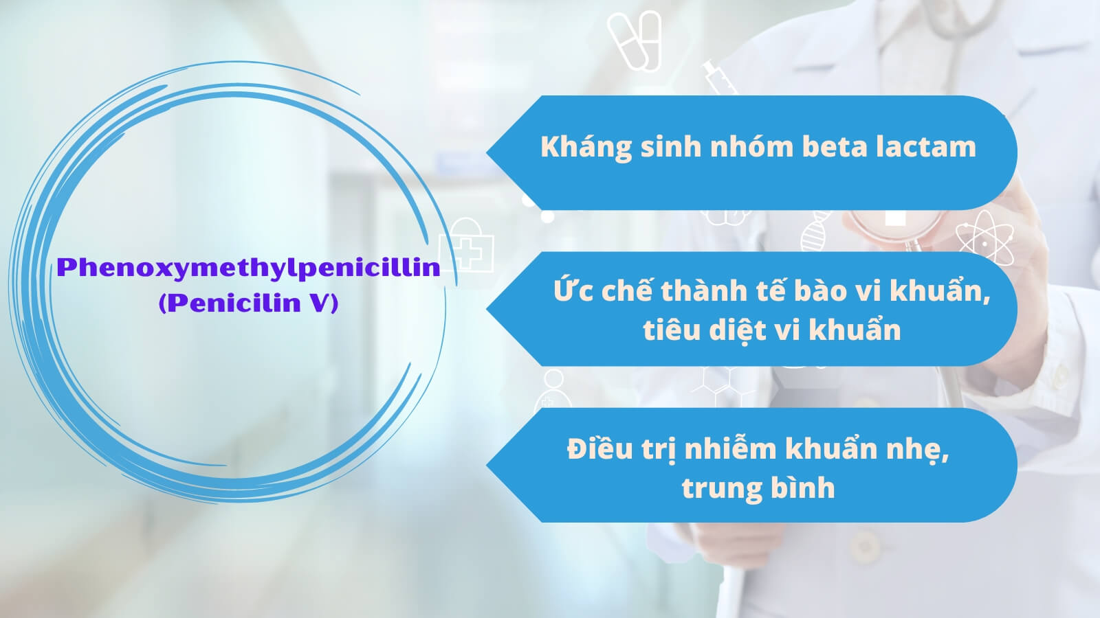 Phenoxymethylpenicillin có tác dụng diệt khuẩn