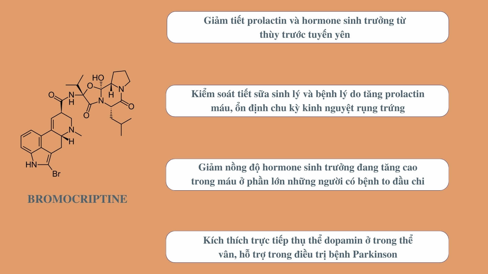 Bromocriptine giảm tiếp prolactin máu hiệu quả