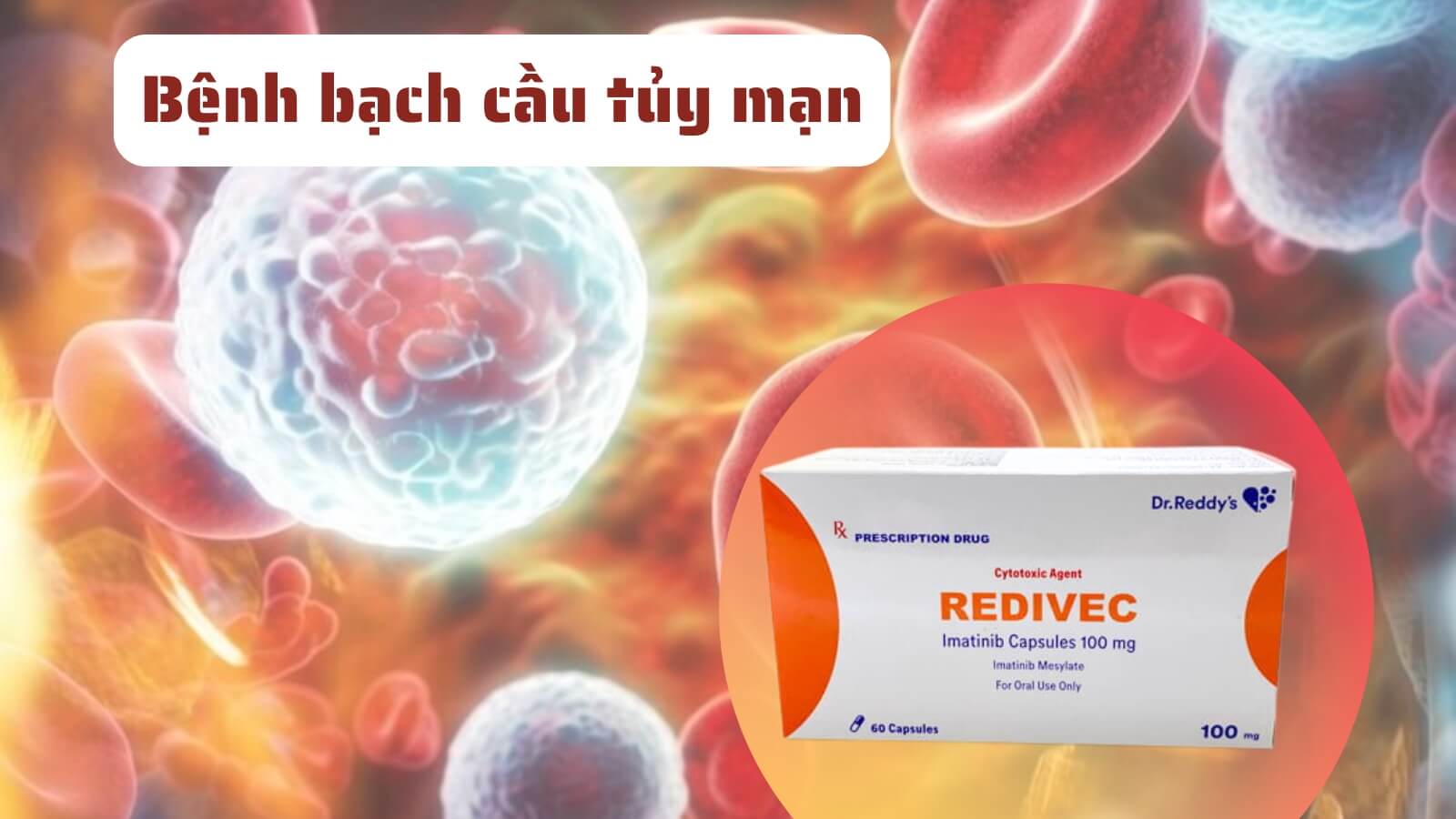 Redivec được chỉ định điều trị bệnh bạc cầu tủy mạn ở người lớn