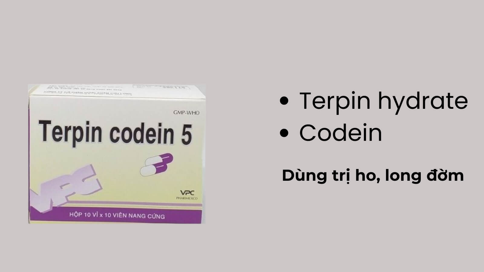 Thành phần chính có trong thuốc Terpin Codein 5