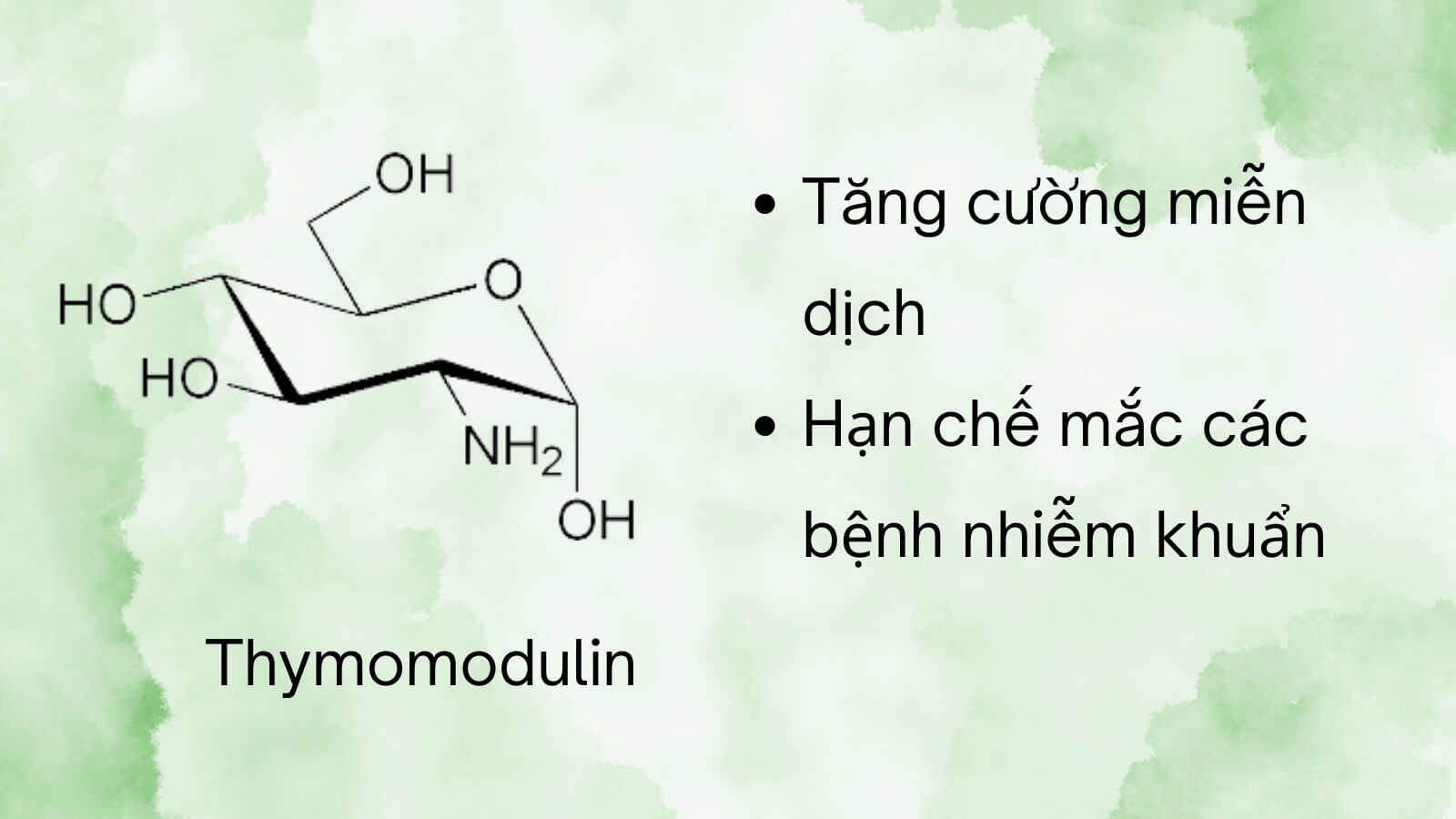 Thymomodulin giúp tăng cường miễn dịch hiệu quả