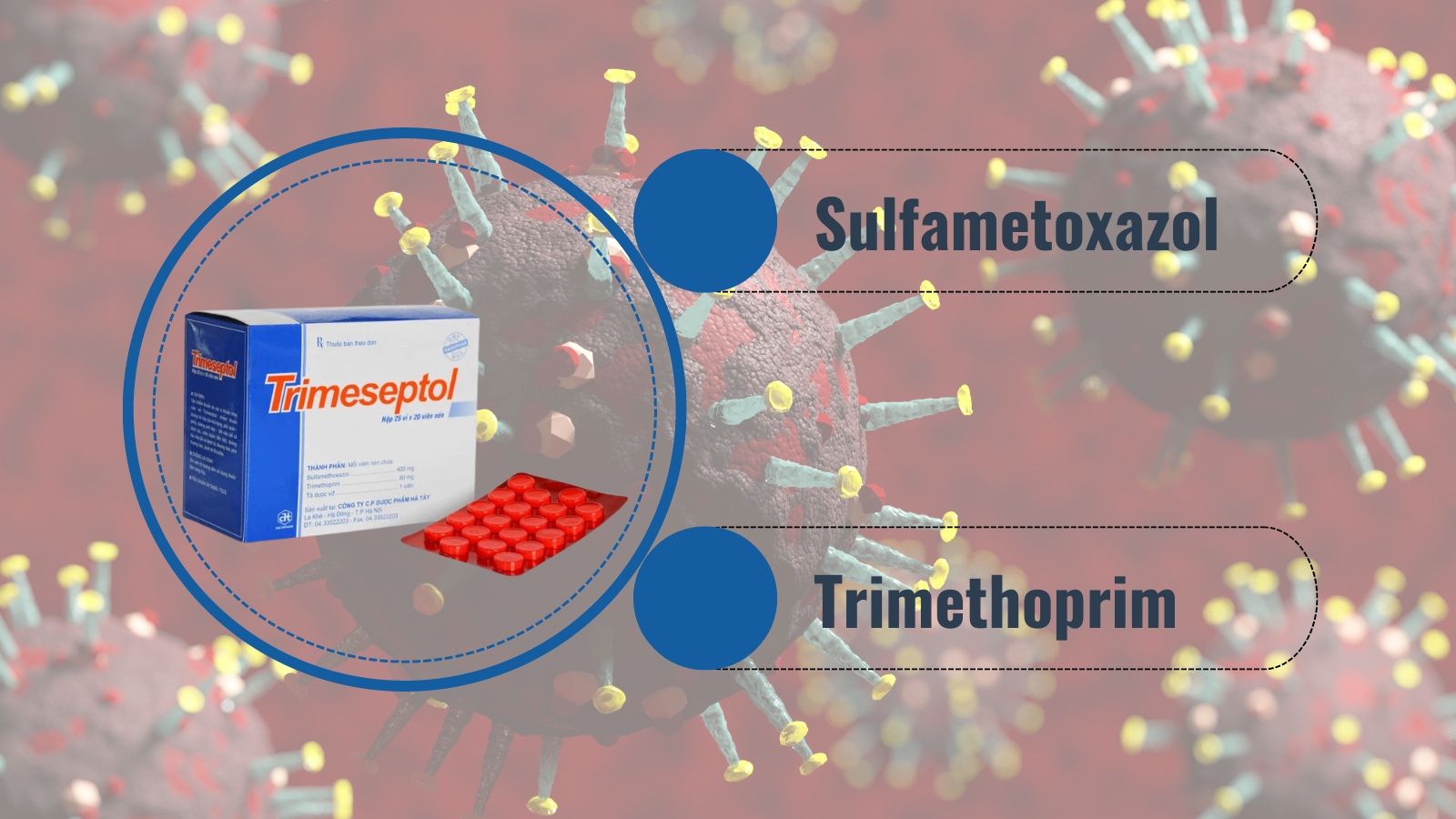 Sulfamethoxazole và Trimethoprim: Liên Kết Hoạt Động Hiệu Quả trong Điều Trị