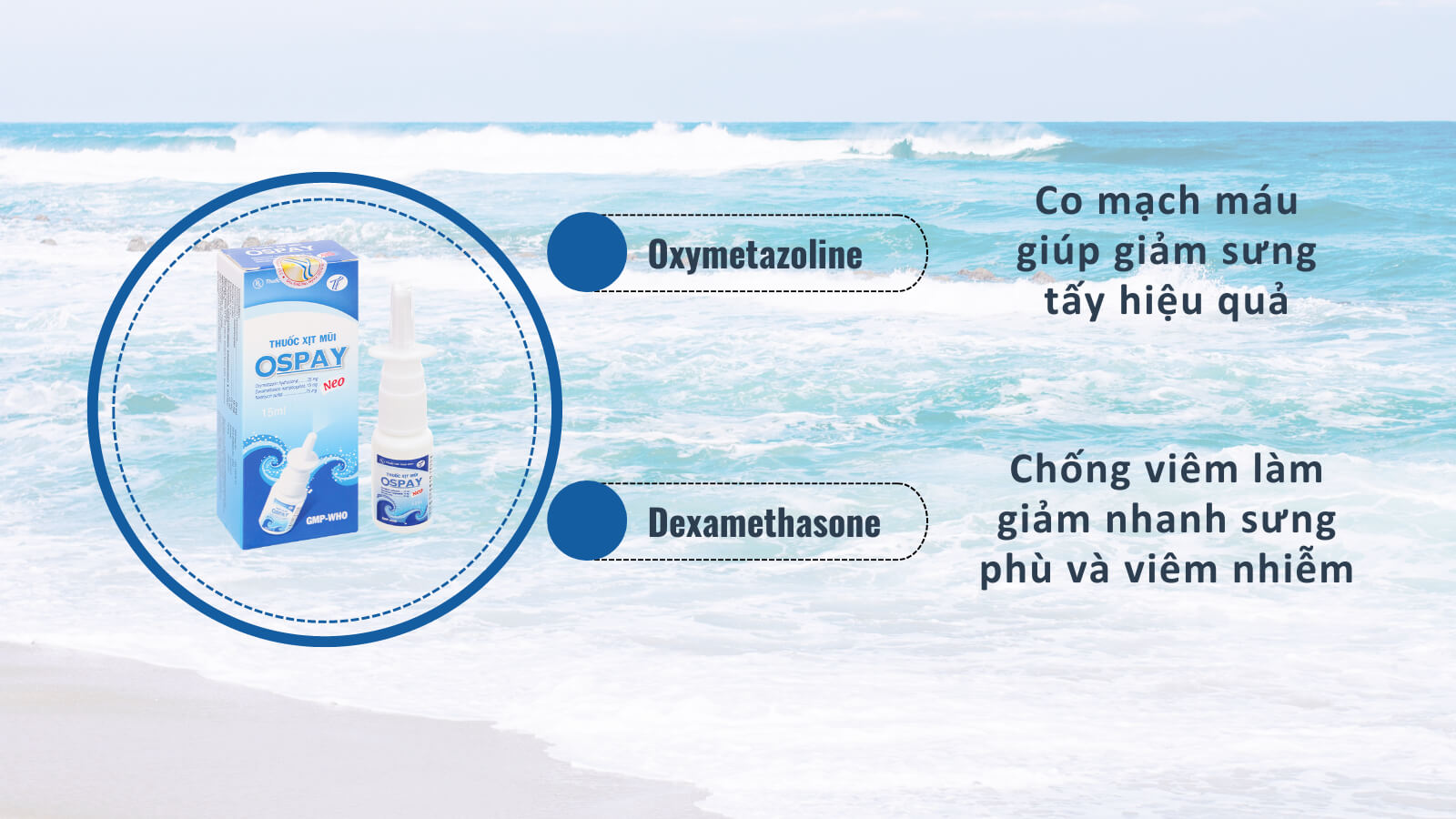 Oxymetazoline và Dexamethasone là hai hoạt chất chính trong giảm nhanh sung huyết mũi