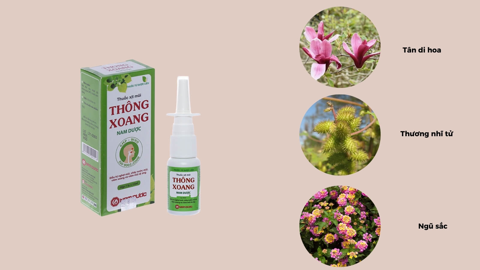 Các thành phần có trong sản phẩm thuốc xịt mũi Thông Xoang Nam Dược