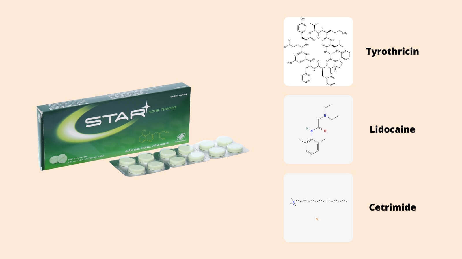 Các thành phần chính có trong viên ngậm Star Sore Throat
