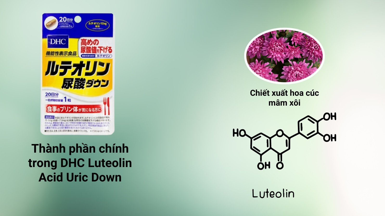 Thành phần của viên uống DHC Luteolin Acid Uric Down