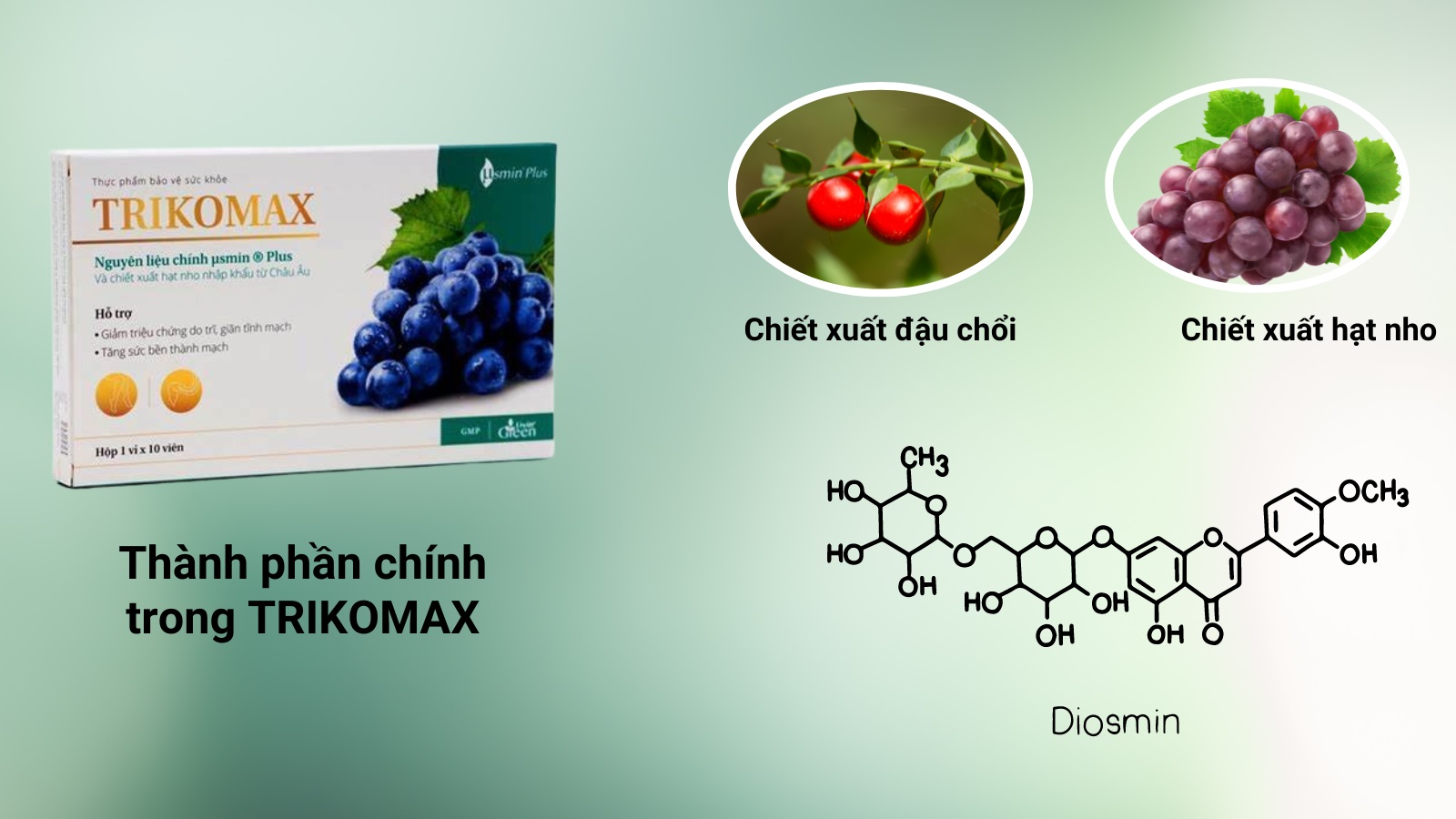 Thành phần viên uống Trikomax - hỗ trợ điều trị bệnh trĩ