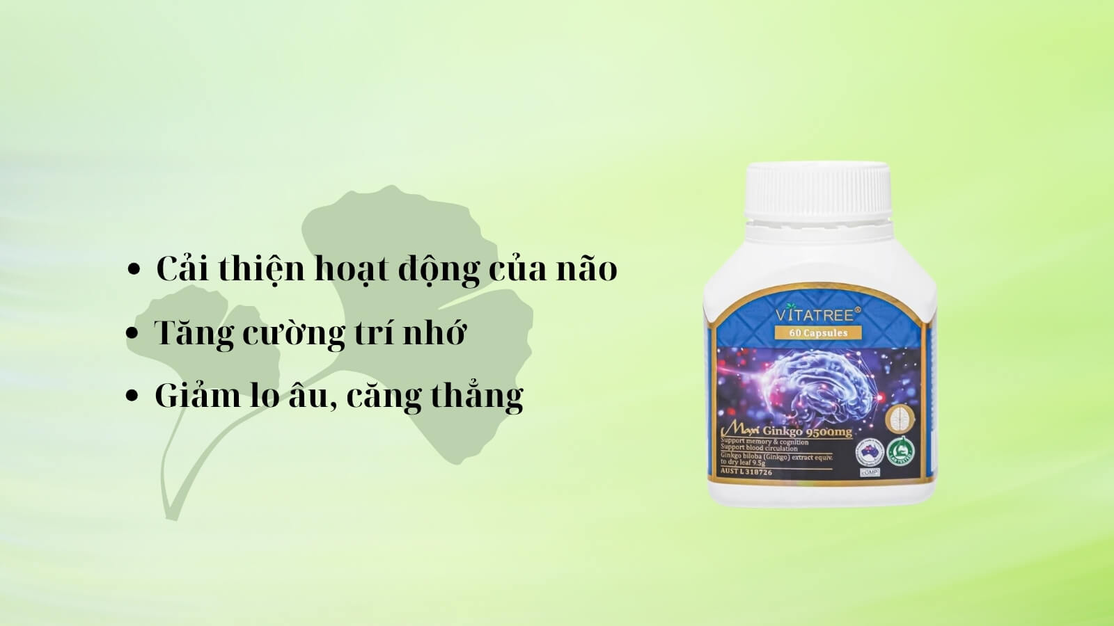 Thành phần chính là chiết xuất từ Bạch quả