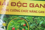 Cà Gai Leo Xạ đen