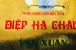 Trà DIệp hạ chấu Vạn Xuân